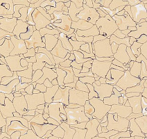 Кварцвиниловые полы Forbo Colorex SD 150215 фото 1 | FLOORDEALER